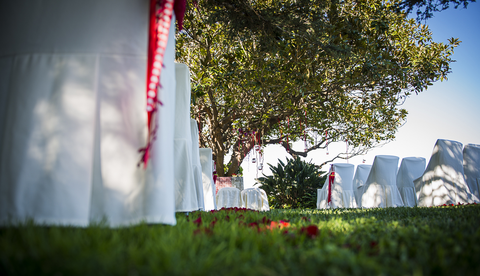 Ceremonia jardín